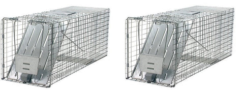 Havahart 1079 Live Animal Professional-Style One-Door Raccoon, Groundhog, Opossum, and Stray Cat Cage Trap (2 PACK)
