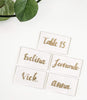 ElegantCirlce 100 PCS 3.5 x 2 in. Clear Acrylic Place Cards Rectangle Shape Perfect for Weddings, Parties, Table Numbers, Guest Names, Food Signs, Birthdays, Decorations 3 1/2 by 2 in. (100 Pack)