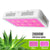 2000W LED Grow Light for Indoor Plants Double Switch Full Spectrum with UV&IR Greenhouse Hydroponic Seedling Veg Flower