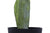 Creative Co-op Cactus in Pot Faux Botanical, Green