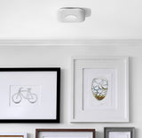 Nest Protect Smoke and Carbon Monoxide Alarm, Battery Powered (Second Generation)