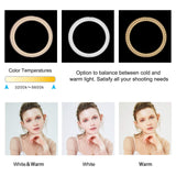 Zomei Dimmable Ring Light 16-Inch Led Beauty Makeup Photography Fill Light with Foldable Tripod Stand Cellphone Holder for Camera Phone YouTube Live Streaming Selfie Video Studio Shooting