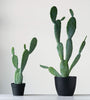 Creative Co-op Cactus in Pot Faux Botanical, Green